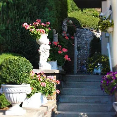 Haus Schonblick 巴特贝特里希