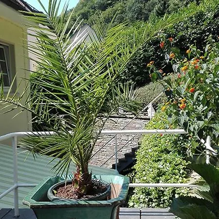 Haus Schonblick 公寓 巴特贝特里希